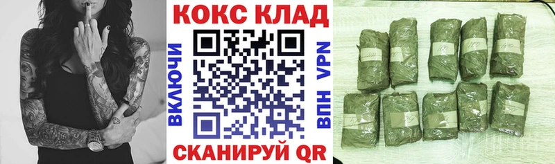 Кокаин Fish Scale  это как зайти  Волхов  где купить наркоту 