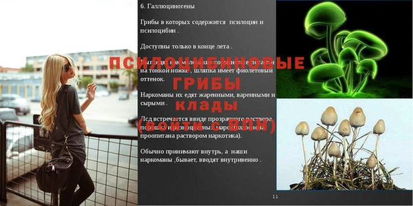 прущий лед Володарск