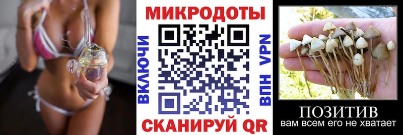 Псилоцибиновые грибы ЛСД  МЕГА ONION  Волхов 