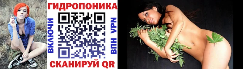 наркошоп  Волхов  Канабис Amnesia 